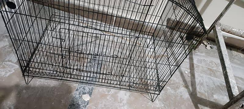 cage for birds cats puppies hens 1