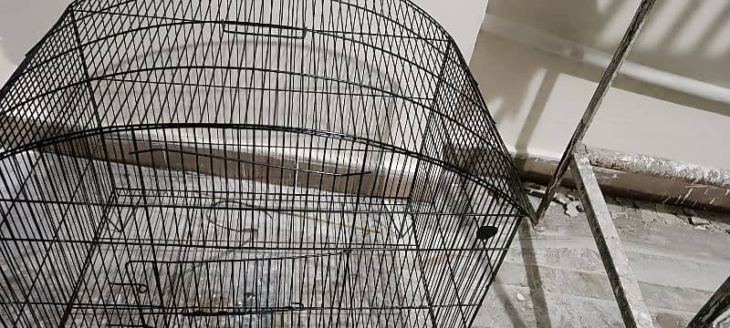 cage for birds cats puppies hens 5
