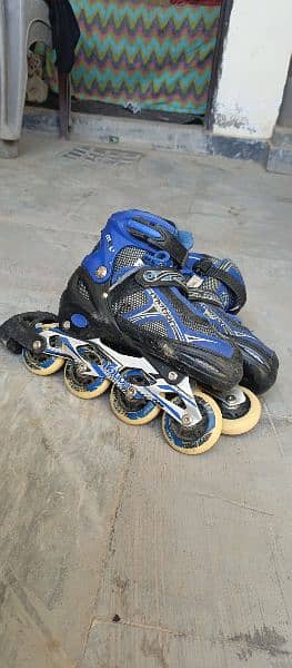 Sports Skate Shoes || Imported Skating shoe || Liner Skates 9