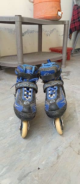 Sports Skate Shoes || Imported Skating shoe || Liner Skates 13