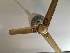 Ceiling Fans Available