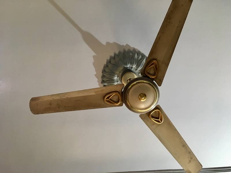 Ceiling Fans Available 0