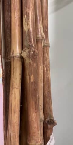 bamboo sticks 0