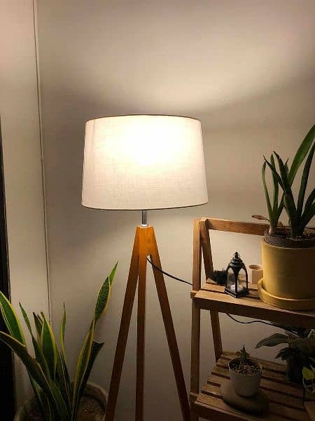 Floor Lamps/Elegant Fancy Lights| Standing Lamp 18