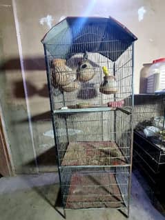 3 PORTION BIRDS CAGE" (Iron Cage)