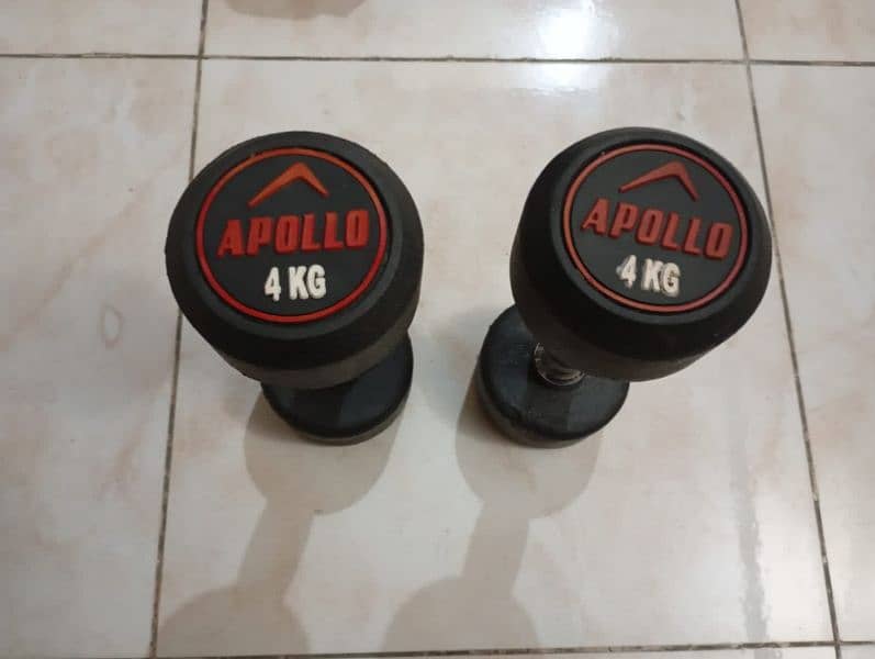 dumbbells Apollo brand new 4 kg 1