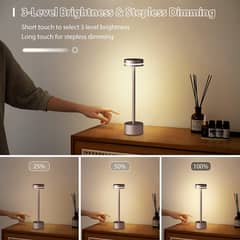 FUNTAPHANTA LED Rechargeable Cordless Tthe table lamp that shines down