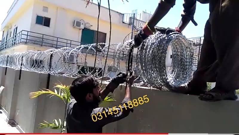 Home Security Razor Wire Concertina Barbed wire Chainlink fence 1