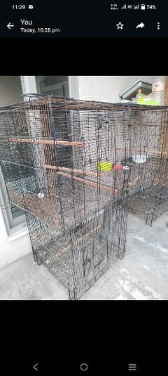 folding cages with tray
