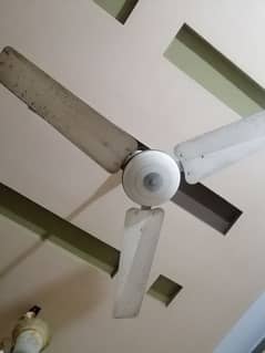 pak ceiling fan