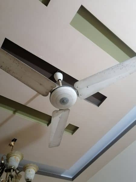 pak ceiling fan 1