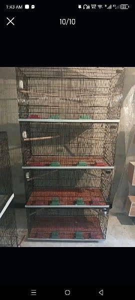 8 portion new folding cage 4