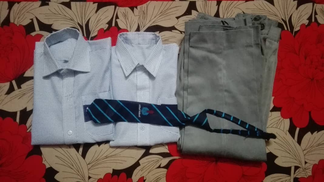 Allied School Uniform for sale 2