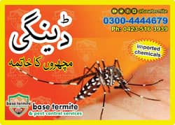 Fumigation/Termite Treatment/Pest control Dengue Spray/Termite Control
