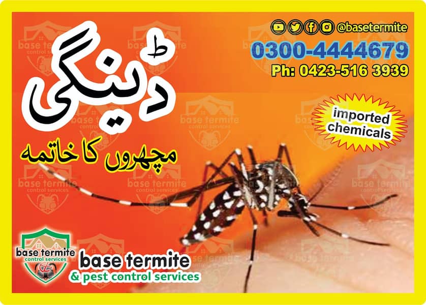 Fumigation/Termite Treatment/Pest control Dengue Spray/Termite Control 0