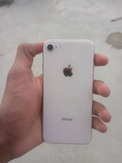 Iphone 8 Full lush condition non pta approved?