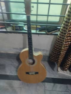 Guitar Best Condition Mehran Colour