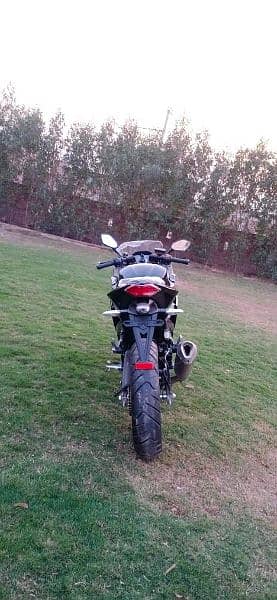 Honda CBR replica 350cc 5