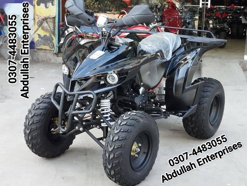 250cc Raptor ATV Bike  for sale deliver pak 11
