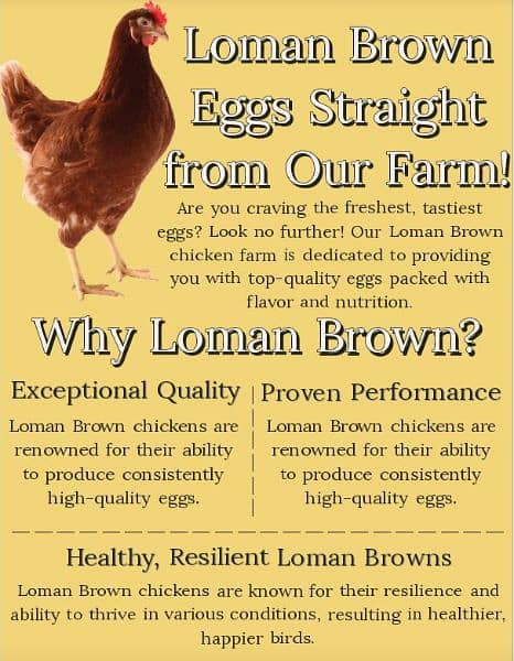 Zahoor Poultry Haven: Fresh Organic  Eggs - Just 50 Rupee 0