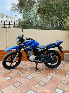 Olx yamaha 2024 ybr 125