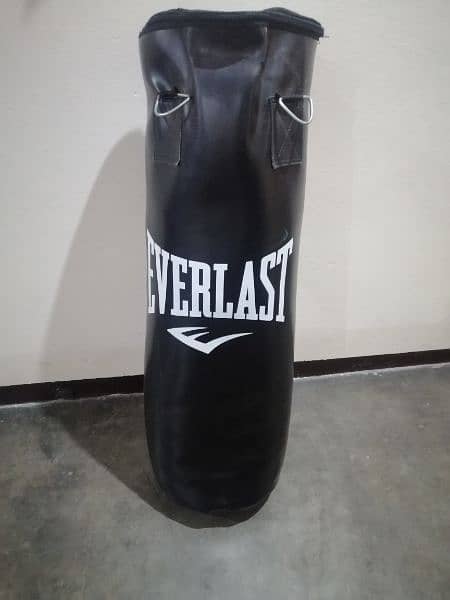 punching bag 2