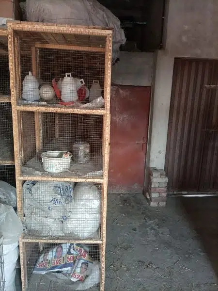 Cage pinjra love bird pigeon java finch — photo 4