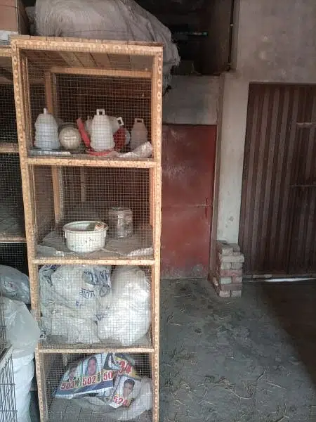 Cage pinjra love bird pigeon java finch — photo 5