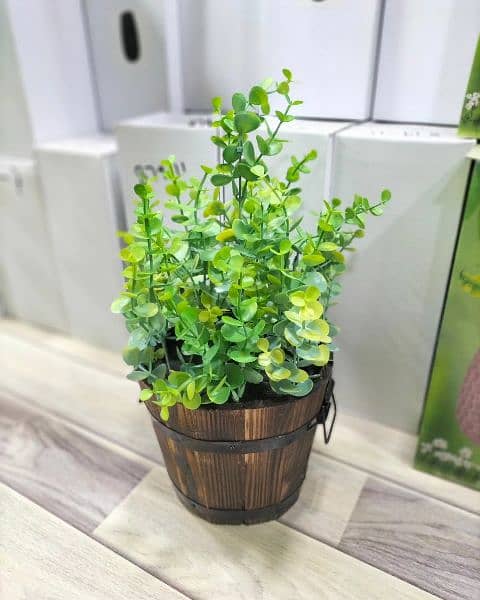 Artificial plants with wooden pot available here 2