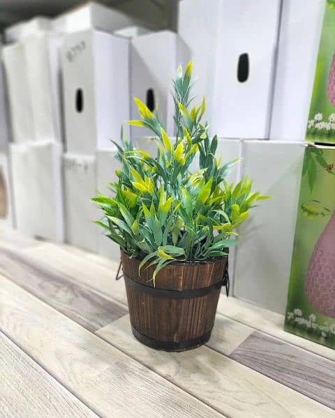 Artificial plants with wooden pot available here 7