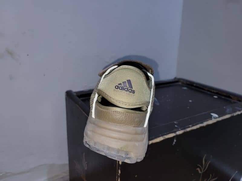Orignal Adidas primegreen shoes 3