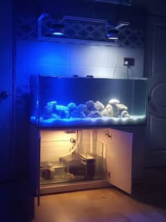 All kind of Aquariums complete Set