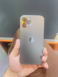 Iphone 12 Pro max PTA approved