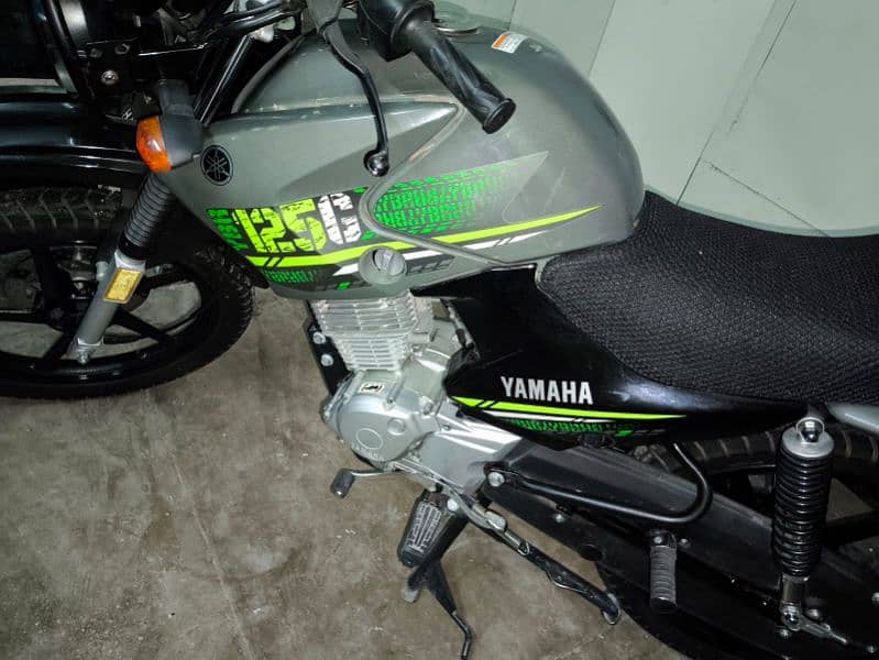 Yamaha ybr G model 2024 13