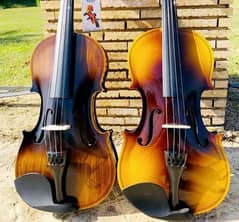 Violin, Beginner violin, professional violin