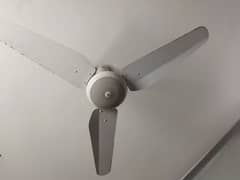 SK ceiling fan