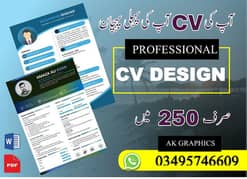 professional cv service