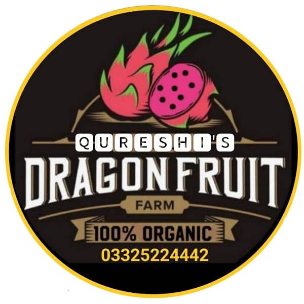 Dragon fruit plants. . 15