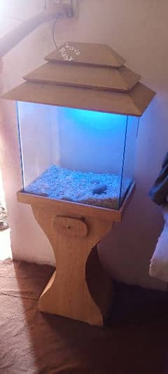 fish acquarium for sale with wooden stand