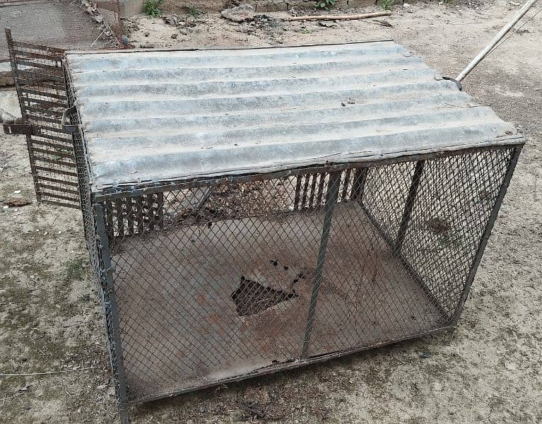 Hen Cage For Sale 2