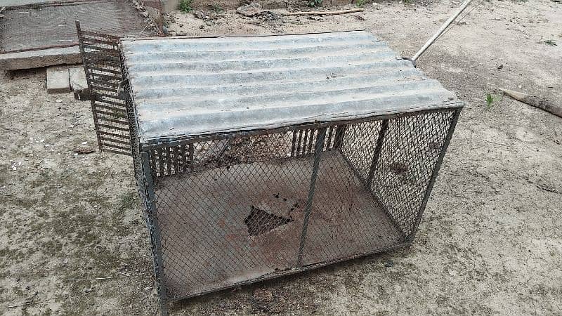Hen Cage For Sale 3