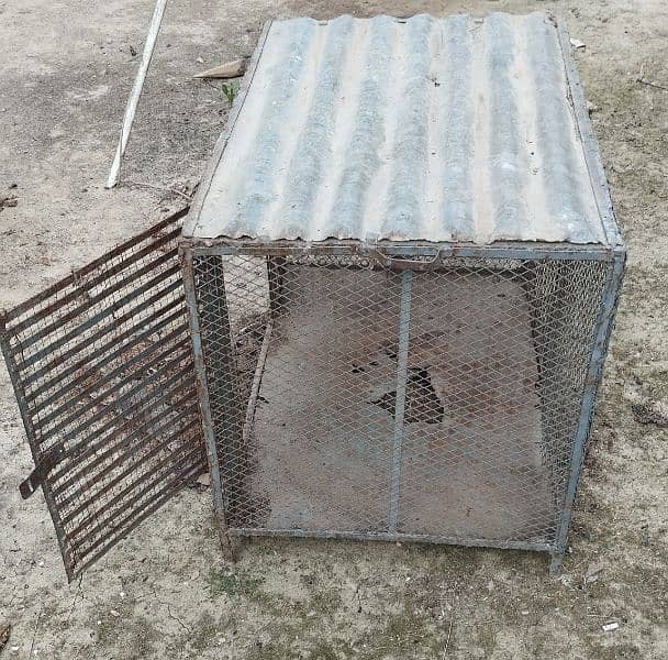 Hen Cage For Sale 4