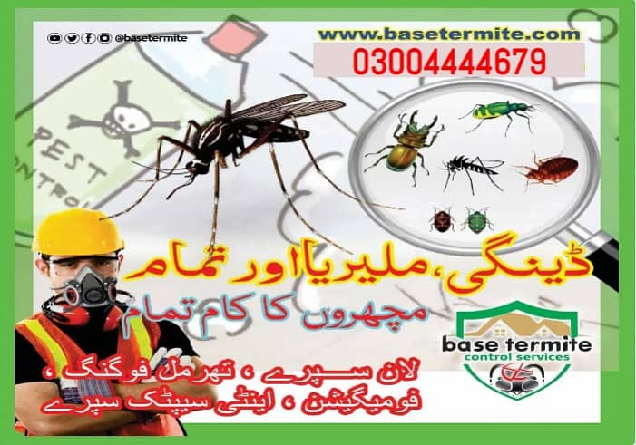 Termite control Fumigation Cockroach Dengue Control teil grout Epoxy 0