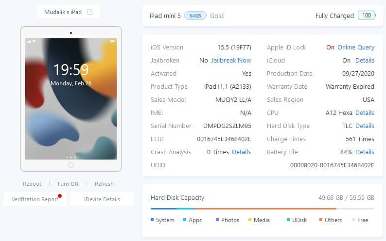 Ipad Mini 5 64GB Gold 10/10 Condition, 84% Battery Health 7