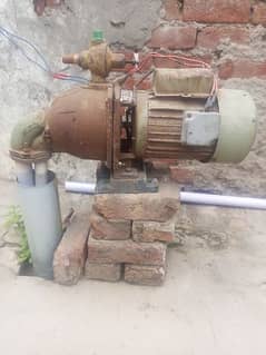 laal pump water pump injector motor