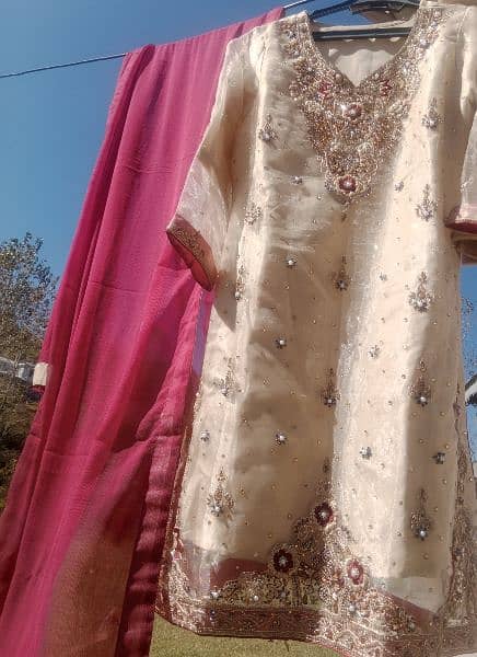 Eid Dress/Party Wear Dress 2