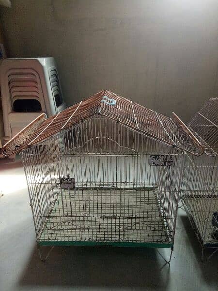 Bird Cage 5
