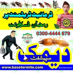 Termite Control Pest Control Fumigation Services in Lahore