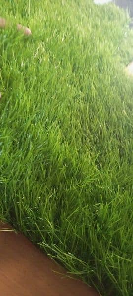 Artificial Grass Available in wholesale 03343879887 2
