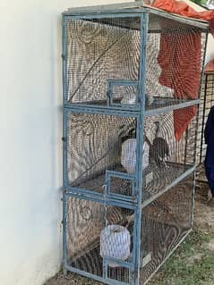 birds cages or birds for sell